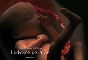 Voir le produit