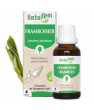 Santé Herbalgem Gemmobase Framboisier bio Flacon compte gouttes 30ml